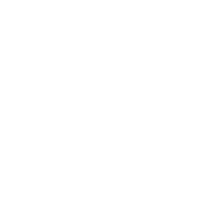 Graphic Designer