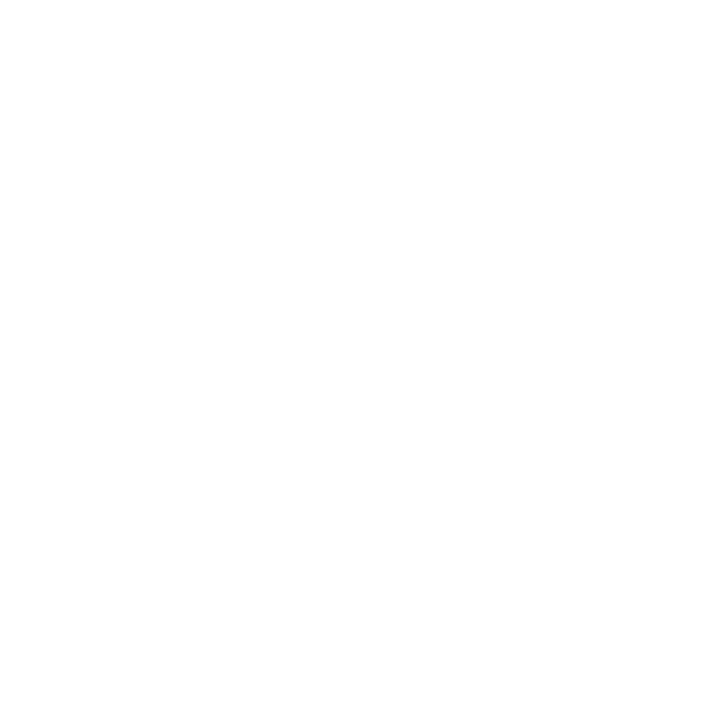 Software Developer